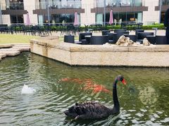 -南京圣和府邸豪华精选酒店