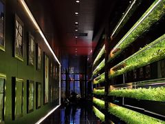 大堂-L'ATELIER de Joel Robuchon(外滩18号店)