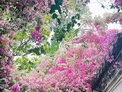 -深圳国际园林花卉博览园