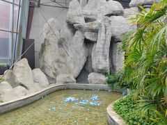 -瑞阁温泉酒店温泉中心