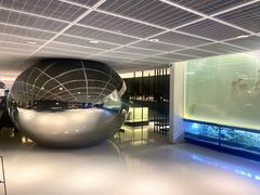 -CHIC1699远洋私厨