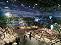-自贡恐龙博物馆