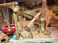 -正佳雨林生态植物园