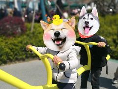 -季高兔窝窝亲子园(上海薰衣草公园店)