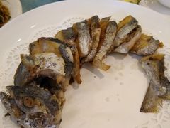 -御唐府海珊瑚主题餐厅