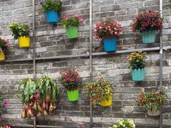 -百丈园龙江啫神馆