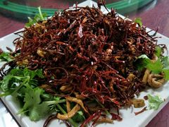 -鑫诚筋饼王(红旗小区店)