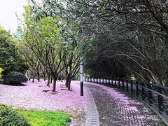 -苏州河梦清园环保主题公园