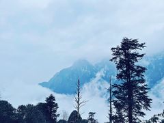 -峨眉山风景名胜区