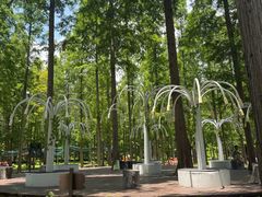 -黄海国家森林公园