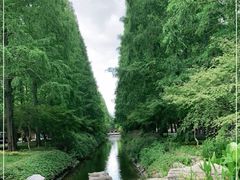 -东平国家森林公园