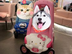 -BossBabe亲子餐厅(金光华广场店)