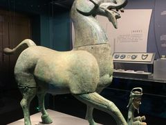 -广西壮族自治区博物馆