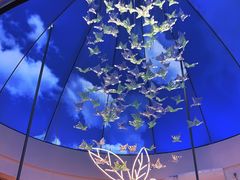 -钳小柒·小龙虾蓝龙王烧烤夜宵(长寿路店)