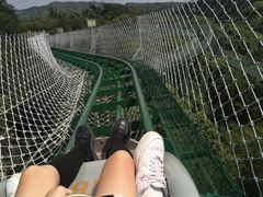 -清境桃源