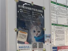 -思琪宠物医院(昆山花桥店)