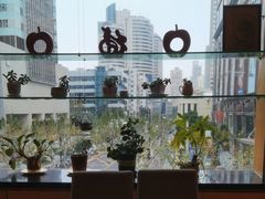 -新镇江酒家(南京西路店)