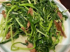 -情满四合院•京菜•烤鸭(动物园店)
