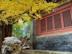-晋祠公园