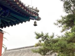 -白云观