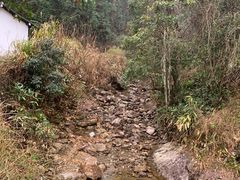 -龙湾潭国家森林公园