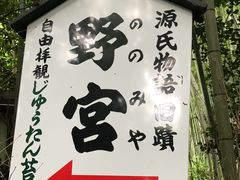 -野宫神社