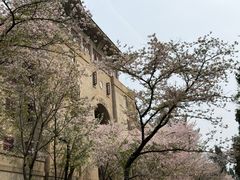 -武汉大学-樱园