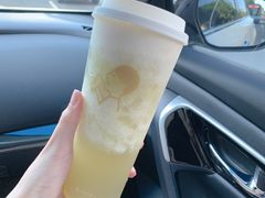 多肉玫珑蜜瓜-喜茶(东莞雍华庭店)