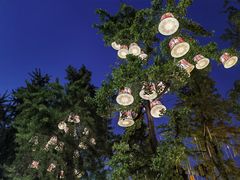 -夫子庙秦淮河画舫