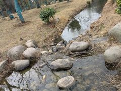 -南北湖风景区