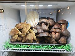 -太婆天府山珍酒楼(亚运村店)
