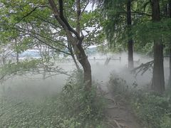 -东湖落雁景区
