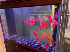 -火塘云南烧烤大排档