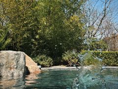 -麦积山温泉