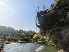 -谷丰健康凤贤居酒家