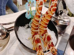 -鲜入围煮花胶鸡海鲜火锅