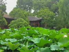 -秋霞圃