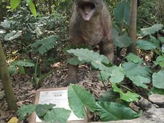-海南热带野生动植物园