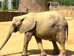 -杭州野生动物世界