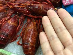 -赤甲皇(仙霞路店)