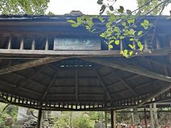 -姑婆山旅游区