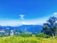 -灵山