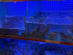 -吴掌柜·藕汤印象(南湖店)