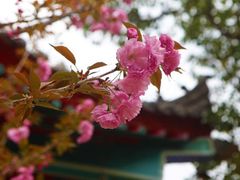 -终南山古楼观历史文化景区