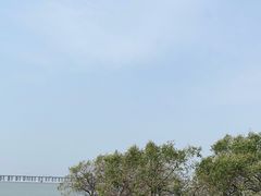 -宝安西湾红树林湿地公园