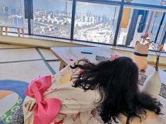 -柴犬小屋·柴餐厅·狗咖食堂(金鼎广场店)