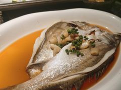 -绿茶餐厅(同成街华联店)