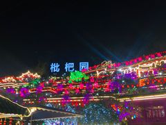 -枇杷园食为鲜火锅(南山店)