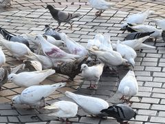 -优托邦(长兴路店)