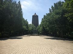 -玲珑塔公园